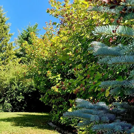 Dom Na Leszczynowej Gorce - Plaza, Ferienhaus *